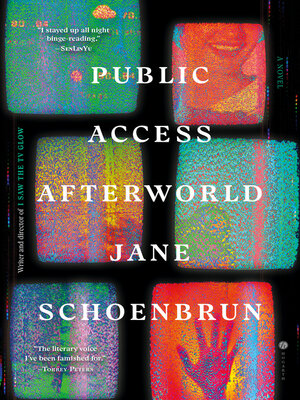 cover image of Public Access Afterworld
